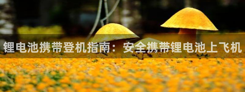 尊龙人生就是博一下下