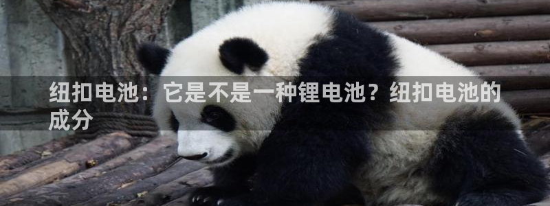 尊龙凯时网站赌愽是真的吗