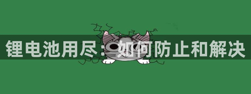 尊龙手机版
