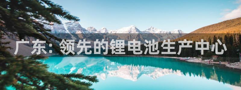 尊龙—人生就是博