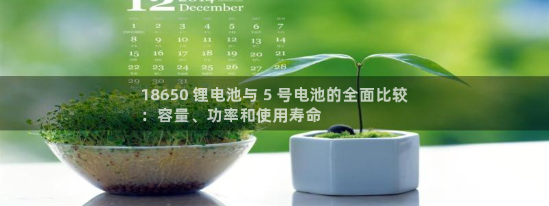 d88尊龙z6