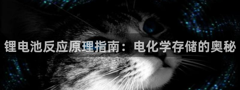 尊龙软件下载
