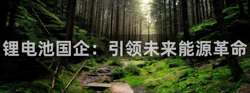 尊龙凯时app官方网站