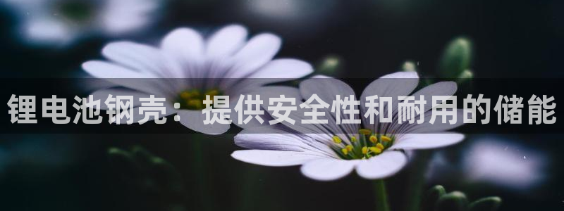尊龙凯时平台还是万博好