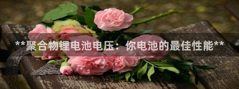 尊龙品牌怎么样
