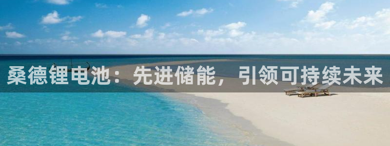 尊龙凯时干什么的