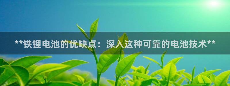 尊龙官网手