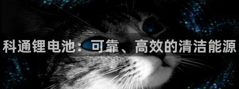 尊龙凯时取款不成功