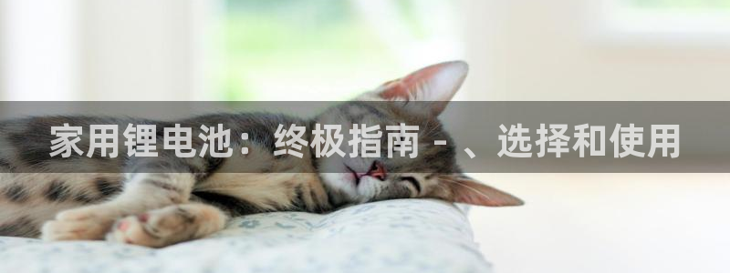 尊龙d88手机app免费下载