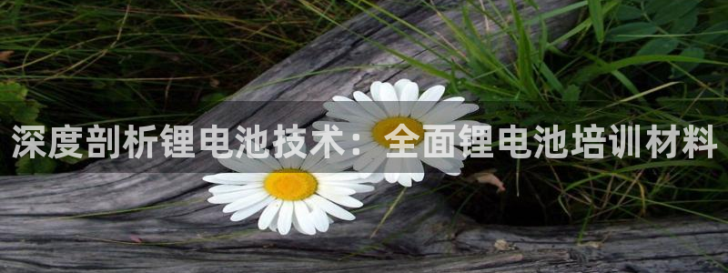 尊龙百度百科