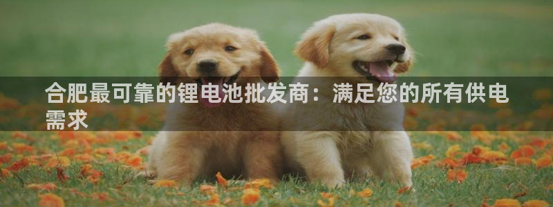 尊龙信息科技有限公司
