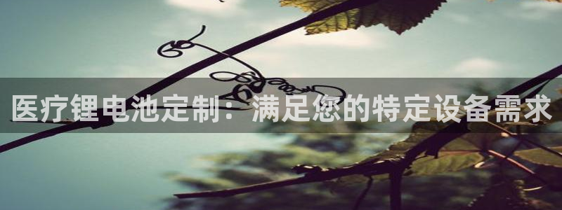 尊龙凯时能做退米么