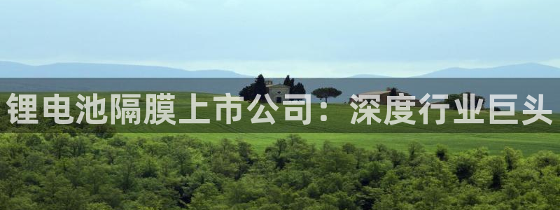 尊龙/人生就是博