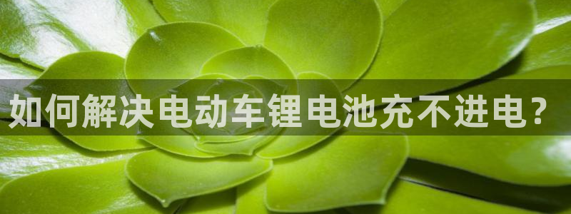 尊龙凯时和九游会哪个平台好一点