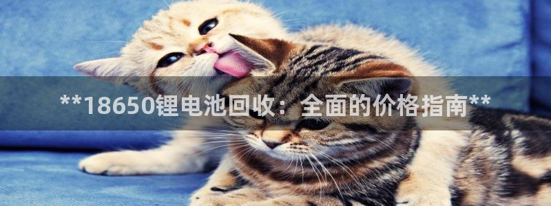 尊龙凯时登陆