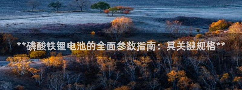尊龙凯时赞助