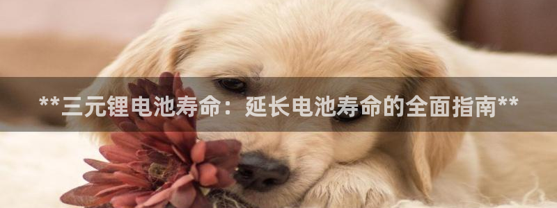 凯时平台官网RA来就送38