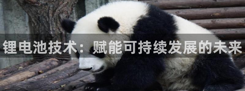 尊龙凯时 - 人生就是搏有假吗