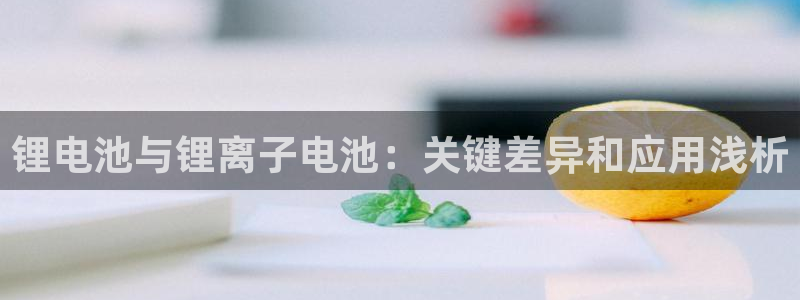 尊龙手机端下载
