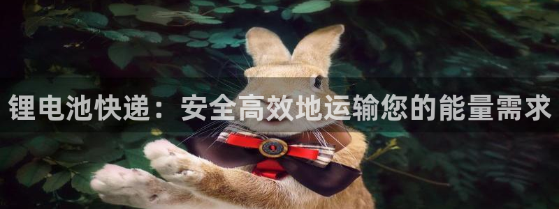 z6com尊龙凯时代理