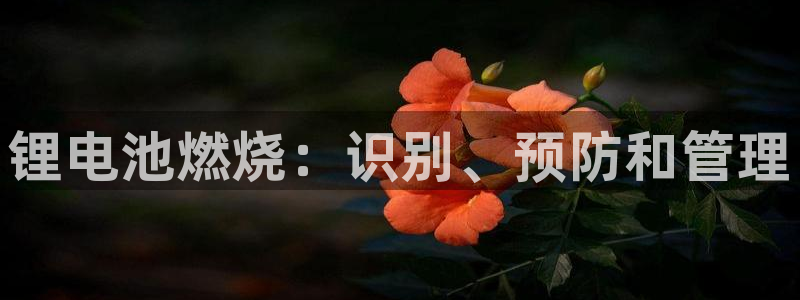 尊龙凯时app安装