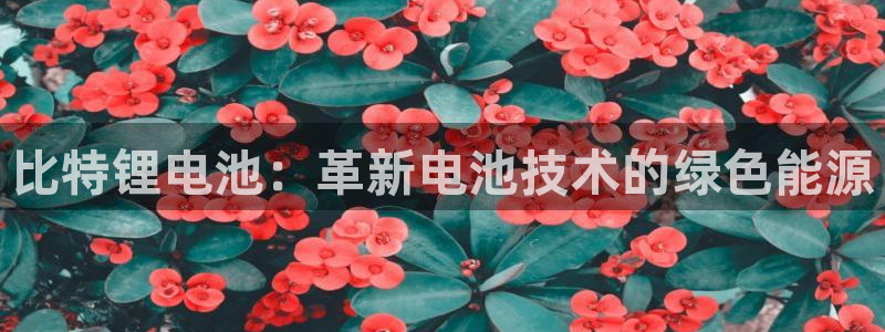 尊龙凯时ag旗舰厅登陆