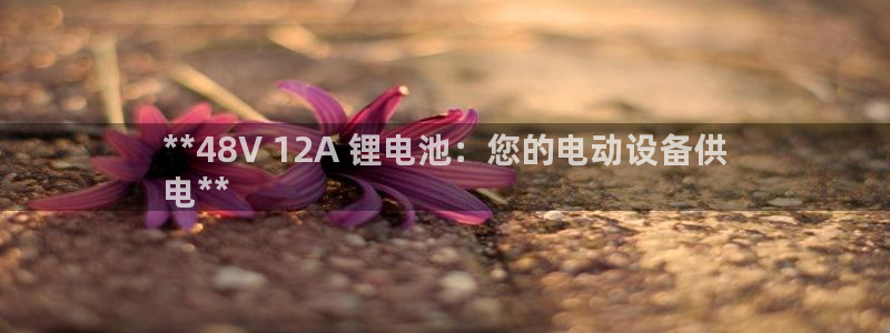 凯时kb88公司简介