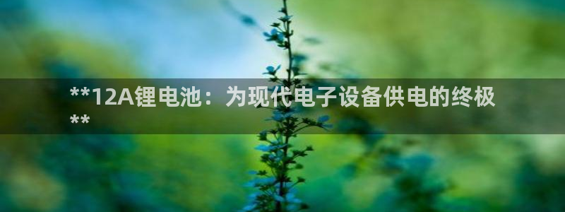 尊龙凯时登入首页