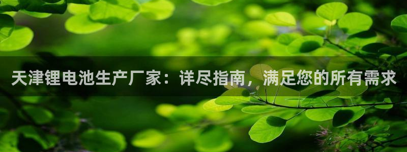 凯时K66最新版本下载