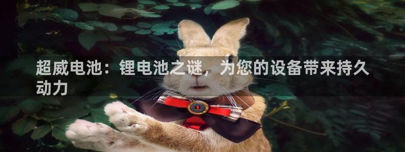 尊龙官网手