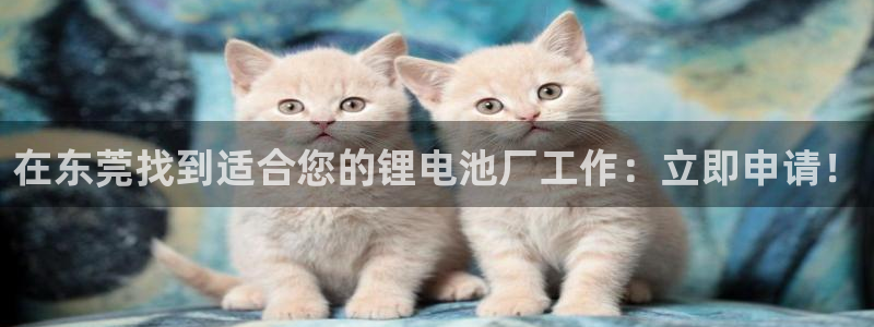 尊龙官网免费下载