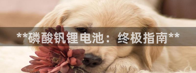尊龙下载推荐网站
