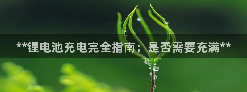凯时游戏官方网站