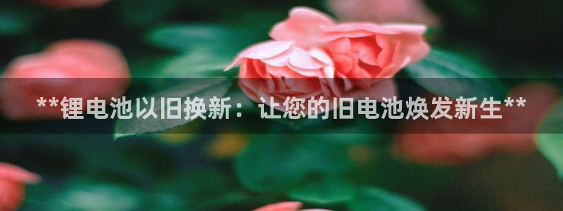 尊龙ag旗舰厅手机版