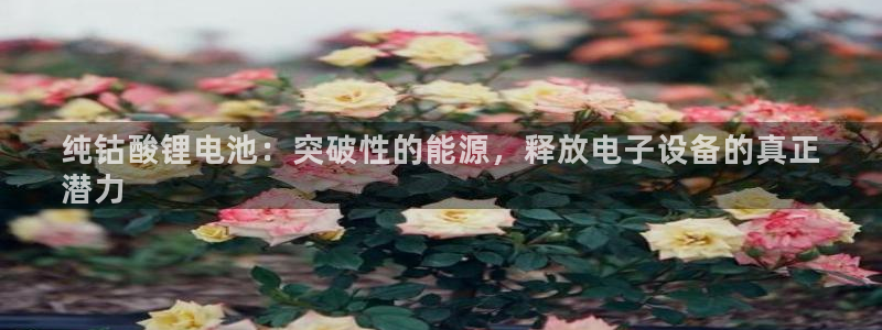 尊龙凯时-人生就是博中国官网首页