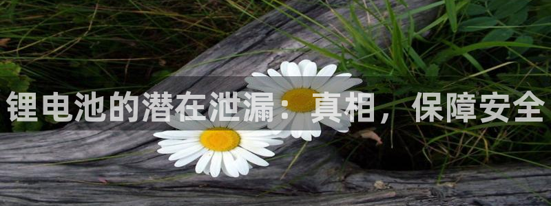 尊龙最经典的三个角色