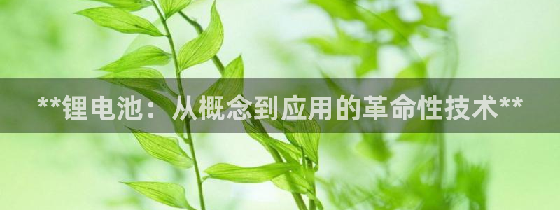 尊龙凯时用户名m