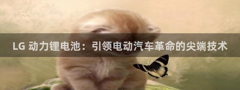 尊龙凯时充值不到账