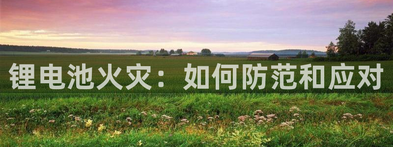 尊龙ag旗舰官网
