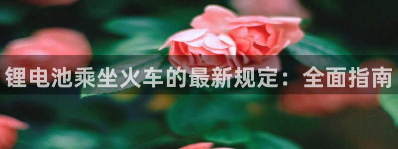 d88尊龙官网手机app