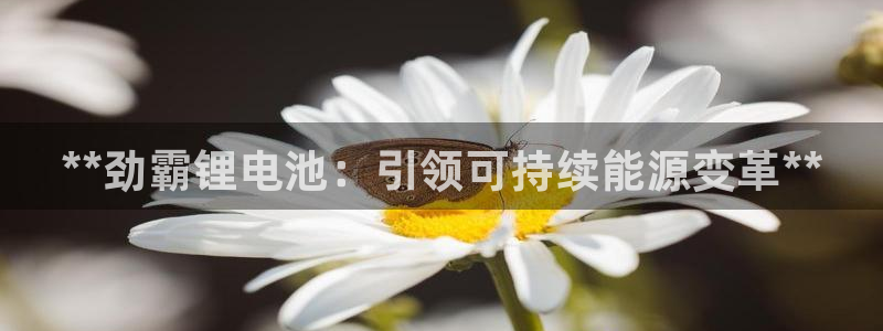 尊龙官方网站最新版V9.3.06