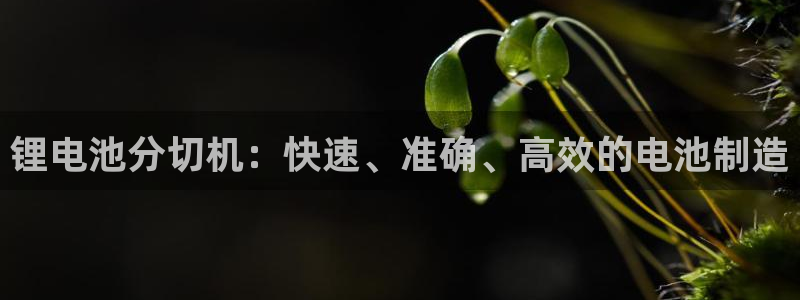 尊龙一人生就是博尊