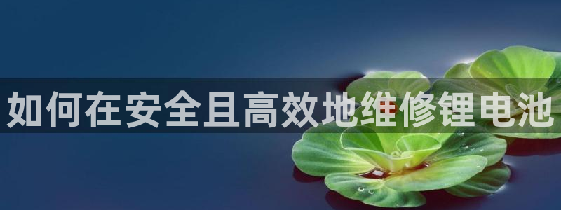 尊龙凯时和九游会哪个平台好一点