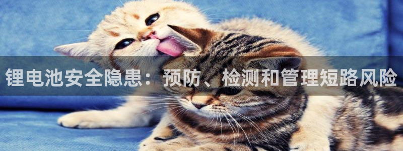 尊龙网页