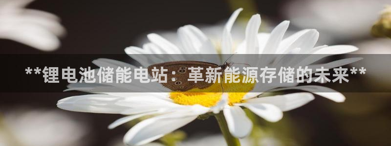 尊龙ag旗舰官网
