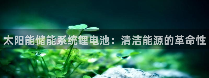 尊龙凯时网站是什么地方人开的