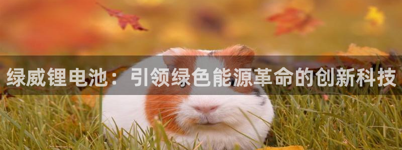 尊龙凯时返现
