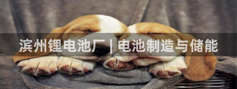 凯时官网