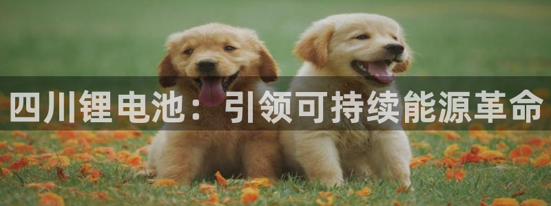 尊龙d88手机app免费下载