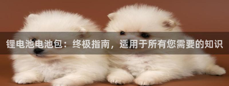 尊龙中国